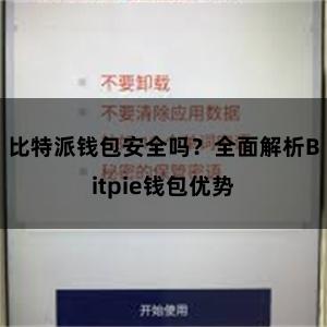 比特派钱包安全吗？全面解析Bitpie钱包优势