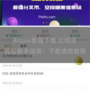 Bitpie教程下载 比特派钱包新手指南：下载使用教程