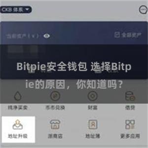 Bitpie安全钱包 选择Bitpie的原因，你知道吗？