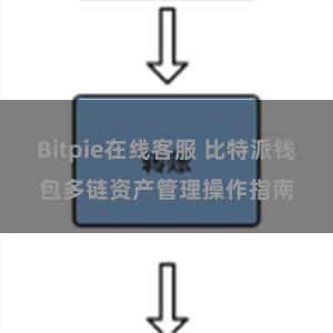 Bitpie在线客服 比特派钱包多链资产管理操作指南