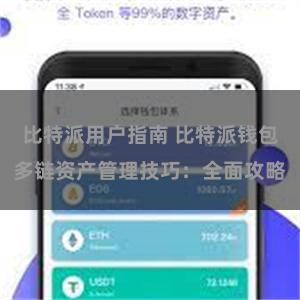 比特派用户指南 比特派钱包多链资产管理技巧：全面攻略