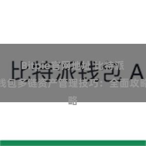 Bitpie官网地址 比特派钱包多链资产管理技巧：全面攻略