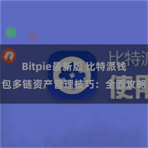 Bitpie最新版 比特派钱包多链资产管理技巧：全面攻略