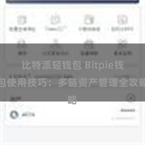 比特派轻钱包 Bitpie钱包使用技巧：多链资产管理全攻略