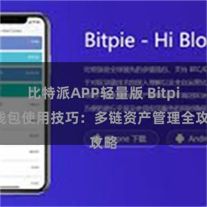 比特派APP轻量版 Bitpie钱包使用技巧：多链资产管理全攻略