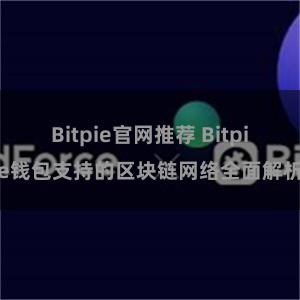 Bitpie官网推荐 Bitpie钱包支持的区块链网络全面解析