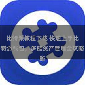 比特派教程下载 快速上手比特派钱包，多链资产管理全攻略