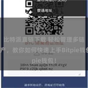 比特派直链下载 轻松管理多链资产，教你如何快速上手Bitpie钱包！