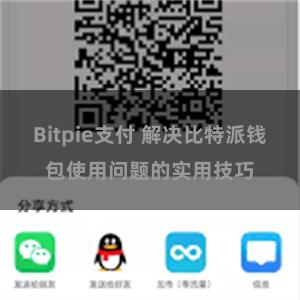 Bitpie支付 解决比特派钱包使用问题的实用技巧