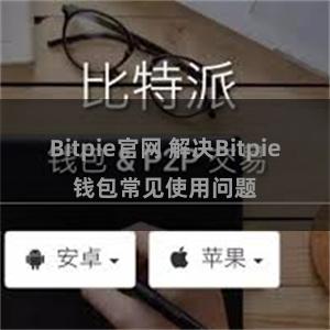 Bitpie官网 解决Bitpie钱包常见使用问题