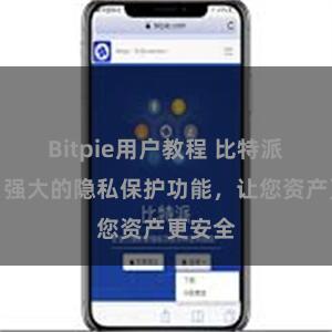 Bitpie用户教程 比特派钱包：强大的隐私保护功能，让您资产更安全