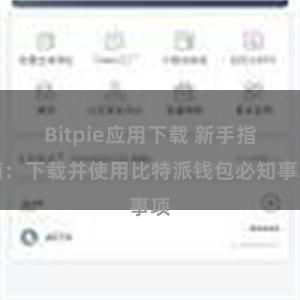 Bitpie应用下载 新手指南：下载并使用比特派钱包必知事项