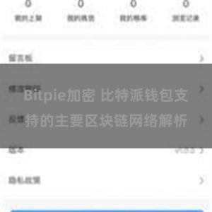 Bitpie加密 比特派钱包支持的主要区块链网络解析