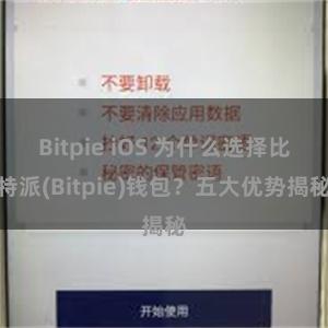 Bitpie iOS 为什么选择比特派(Bitpie)钱包？五大优势揭秘