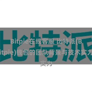 Bitpie在线客服 比特派(Bitpie)钱包的团队背景与技术实力