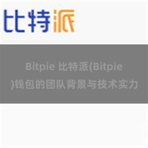 Bitpie 比特派(Bitpie)钱包的团队背景与技术实力