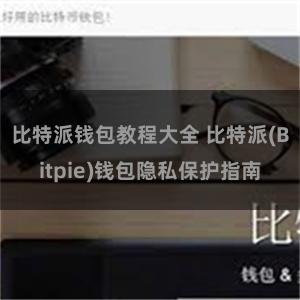 比特派钱包教程大全 比特派(Bitpie)钱包隐私保护指南