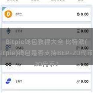 Bitpie钱包教程大全 比特派(Bitpie)钱包是否支持BEP-20代币？