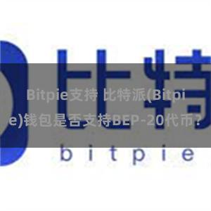 Bitpie支持 比特派(Bitpie)钱包是否支持BEP-20代币？