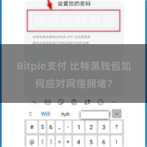 Bitpie支付 比特派钱包如何应对网络拥堵？