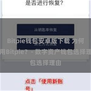 Bitpie钱包安卓版下载 为何选用Bitpie？- 数字资产钱包选择理由