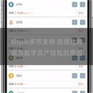 Bitpie多币支持 选择比特派为数字资产钱包的原因