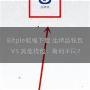 Bitpie教程下载 比特派钱包 VS 其他钱包：有何不同？