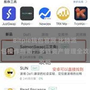 Bitpie钱包官网 比特派钱包操作指南：多链资产管理全攻略