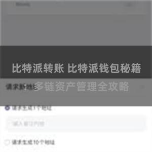 比特派转账 比特派钱包秘籍：多链资产管理全攻略