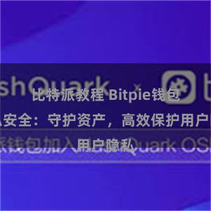 比特派教程 Bitpie钱包隐私安全：守护资产，高效保护用户隐私