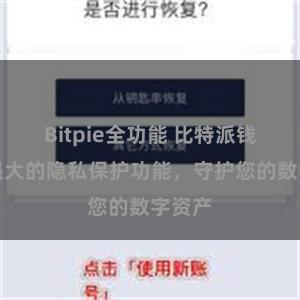 Bitpie全功能 比特派钱包：强大的隐私保护功能，守护您的数字资产