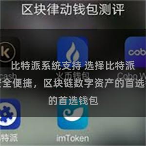 比特派系统支持 选择比特派，安全便捷，区块链数字资产的首选钱包