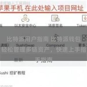 比特派用户指南 比特派钱包：轻松管理多链资产，快速上手指南