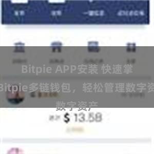 Bitpie APP安装 快速掌握Bitpie多链钱包，轻松管理数字资产