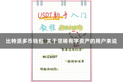 比特派多币钱包  关于领稀有字资产的用户来说