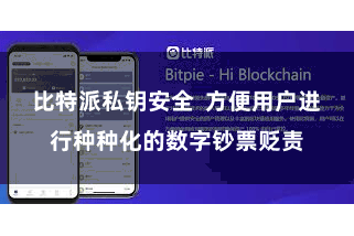 比特派私钥安全  方便用户进行种种化的数字钞票贬责