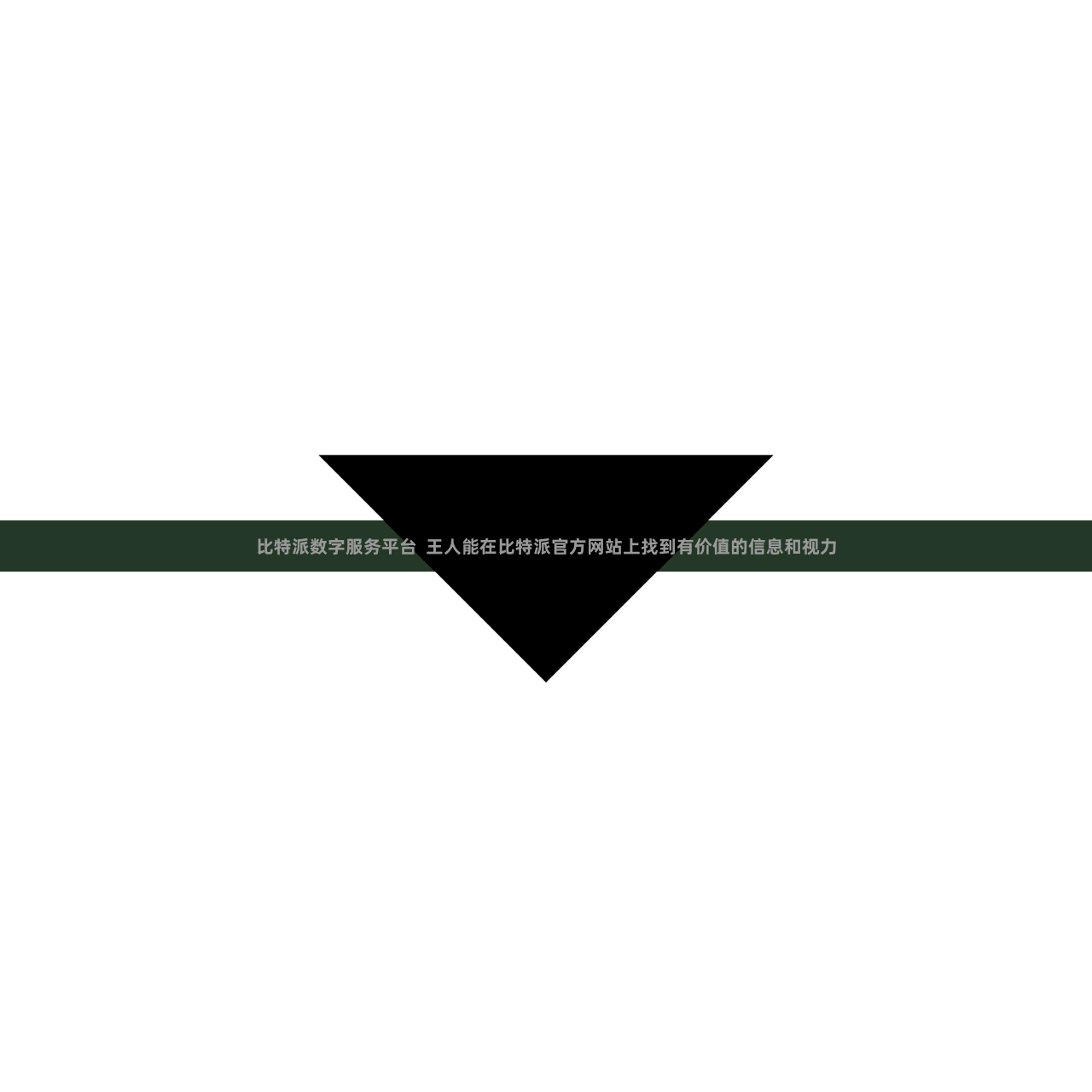 比特派数字服务平台  王人能在比特派官方网站上找到有价值的信息和视力