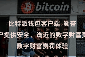 比特派钱包客户端  勤奋于为用户提供安全、浅近的数字财富责罚体验