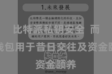 比特派私钥安全  而热钱包用于昔日交往及资金颐养